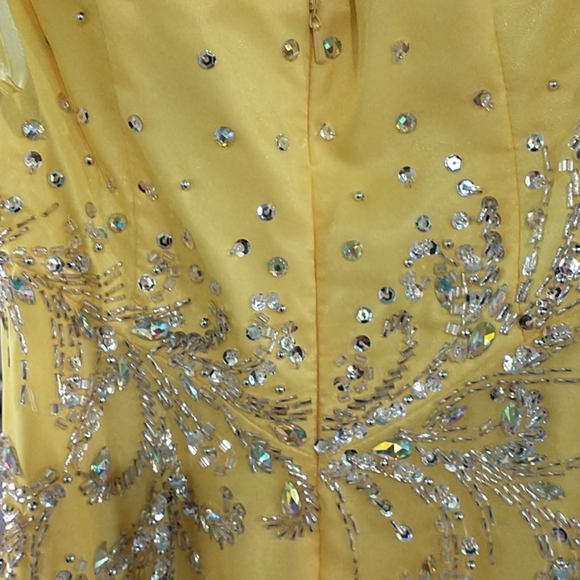 Jonathan Kayne Evening Dress or Prom - Picture 7 of 9